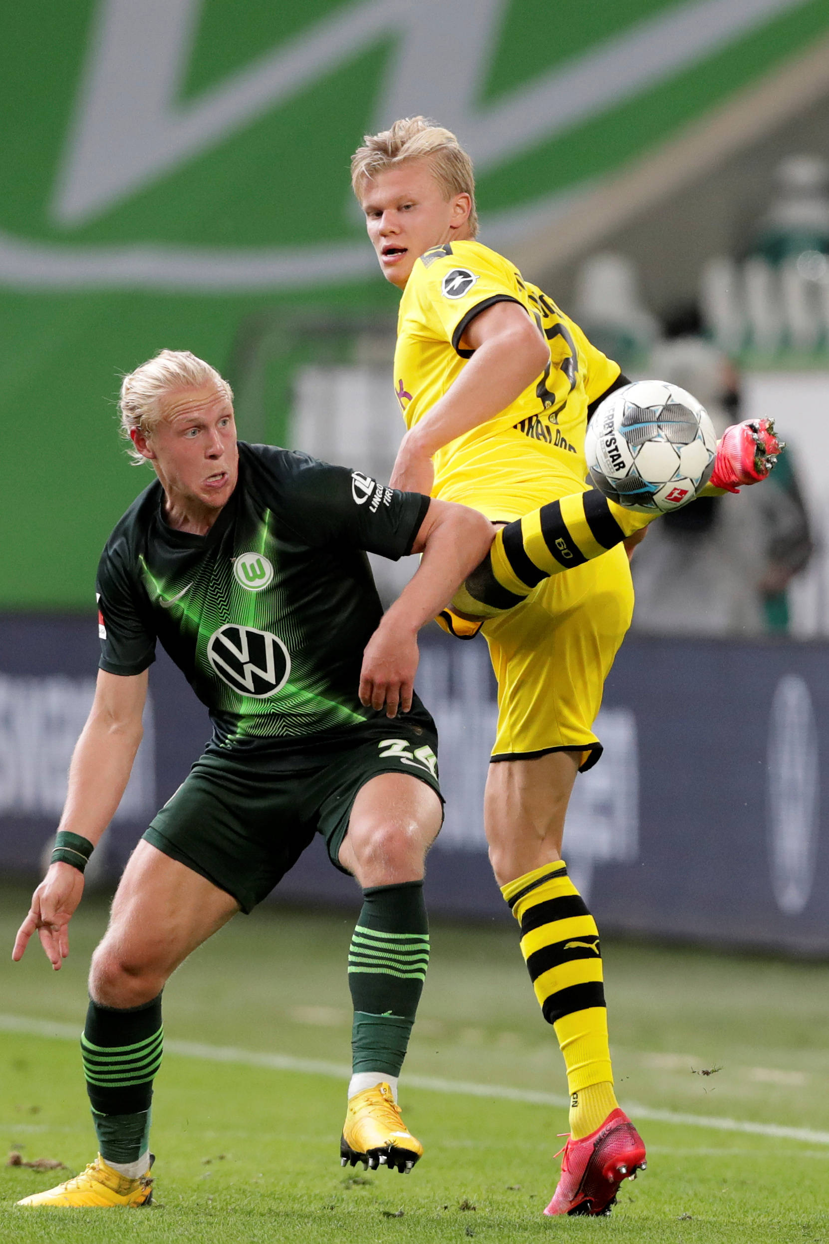 诉所有人 诉所有人