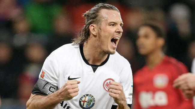 赢得了荣誉 赢得了荣誉